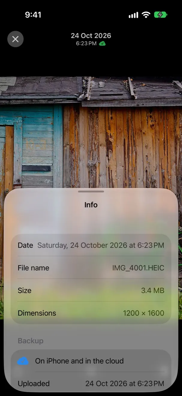The info panel showing date, file name, size, dimensions and backup status